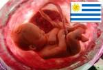 Obispos de Uruguay alientan referéndum contra el aborto